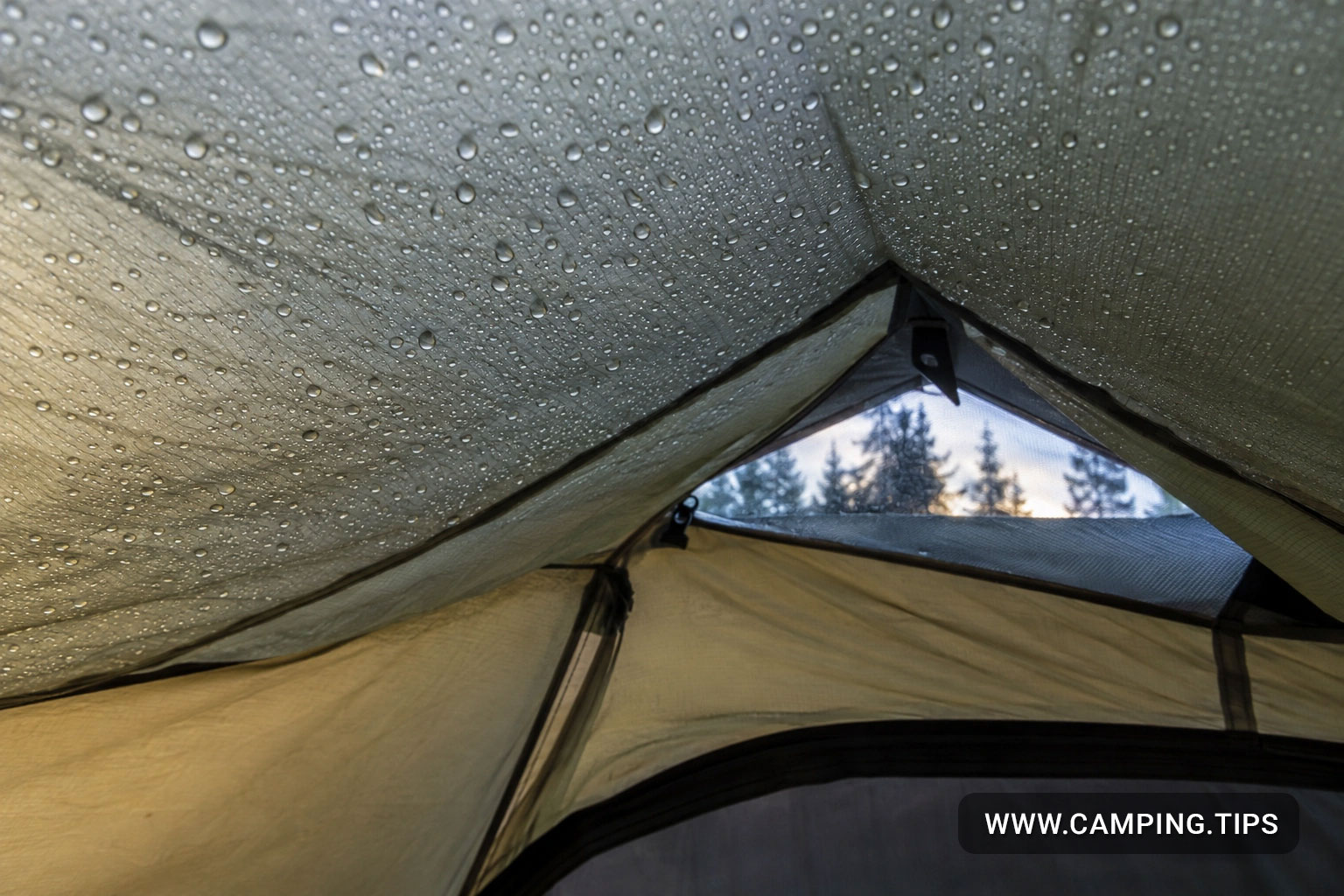 Small condensation droplets on the inside of a tent rainfly